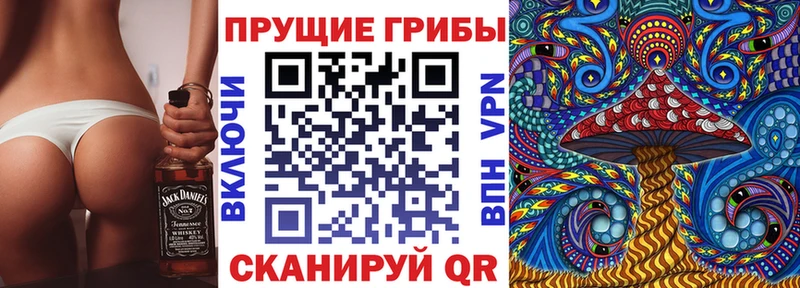 где продают   маркетплейс Telegram  Псилоцибиновые грибы GOLDEN TEACHER  Хвалынск 